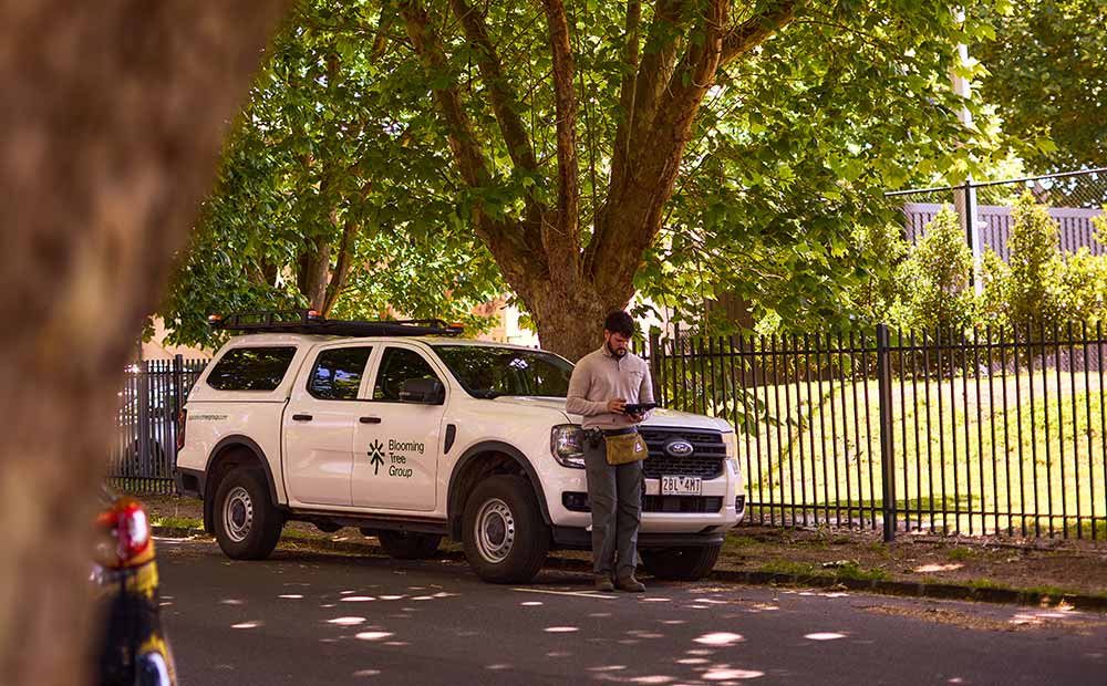 Blooming Tree Group arborist leaning against vehicle after completing a tree risk assessment at Melbourne school